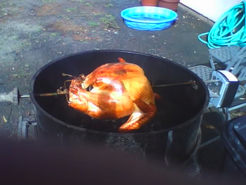 rotisserie_turkey.png